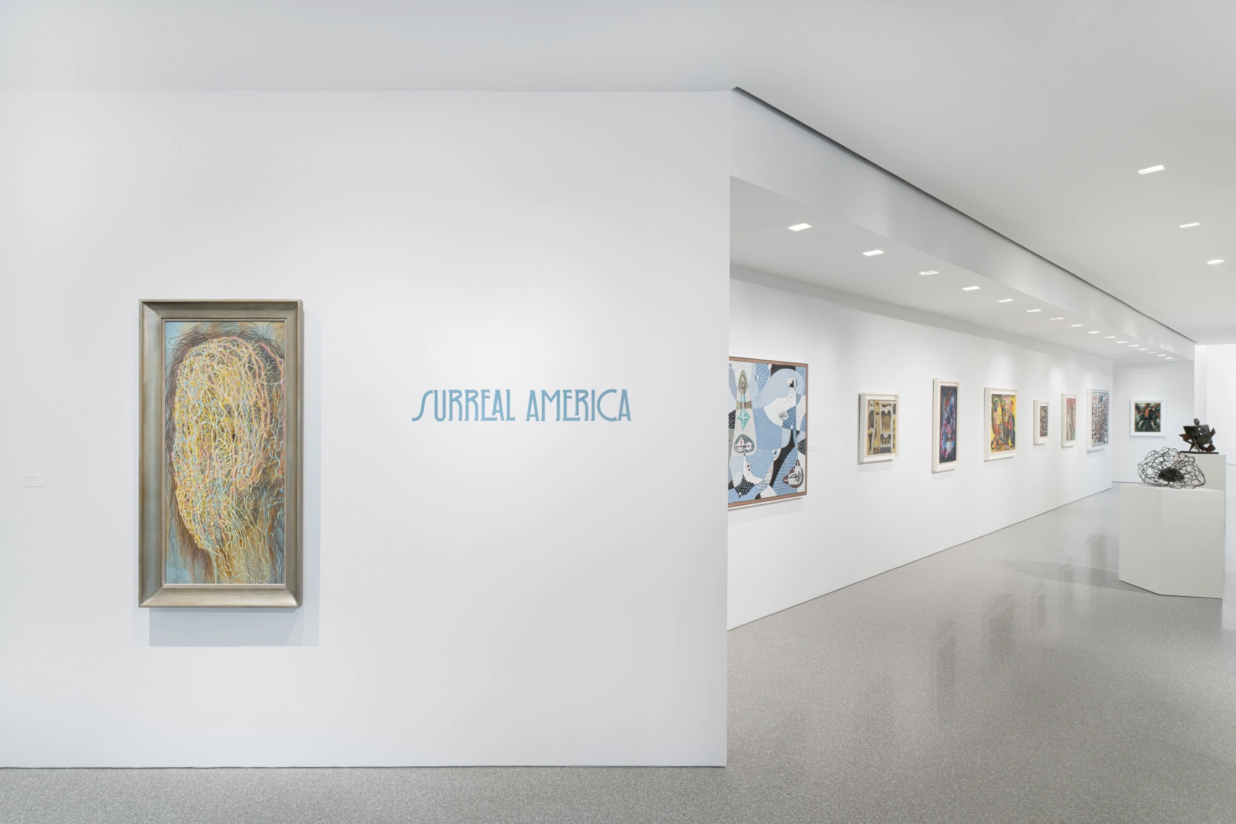 Image for Surreal America, at Michael Rosenfeld Gallery