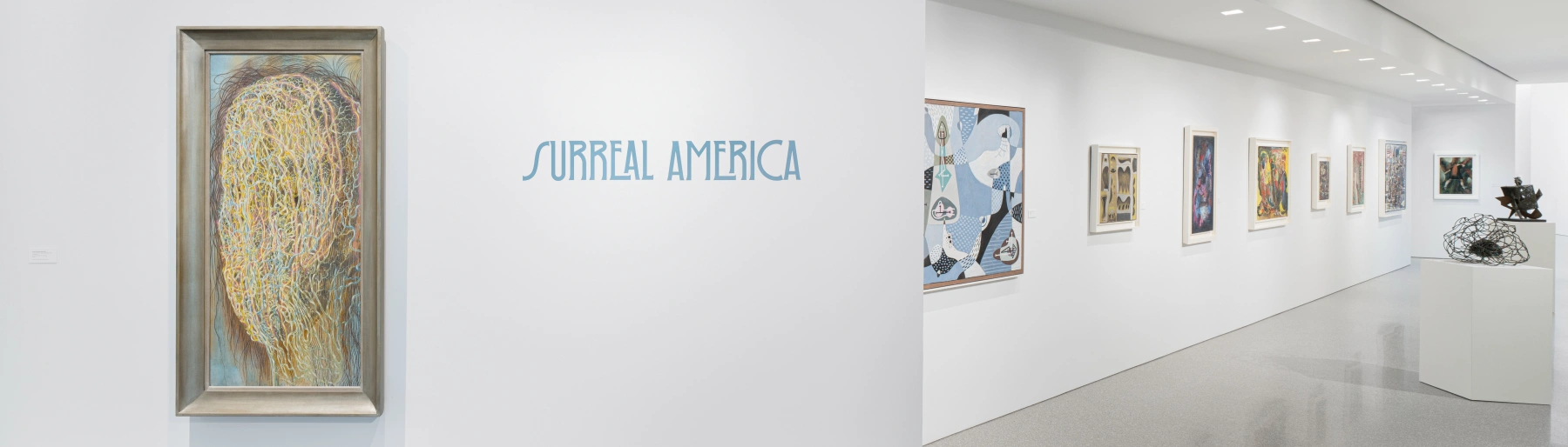 Image for Surreal America at Michael Rosenfeld Gallery