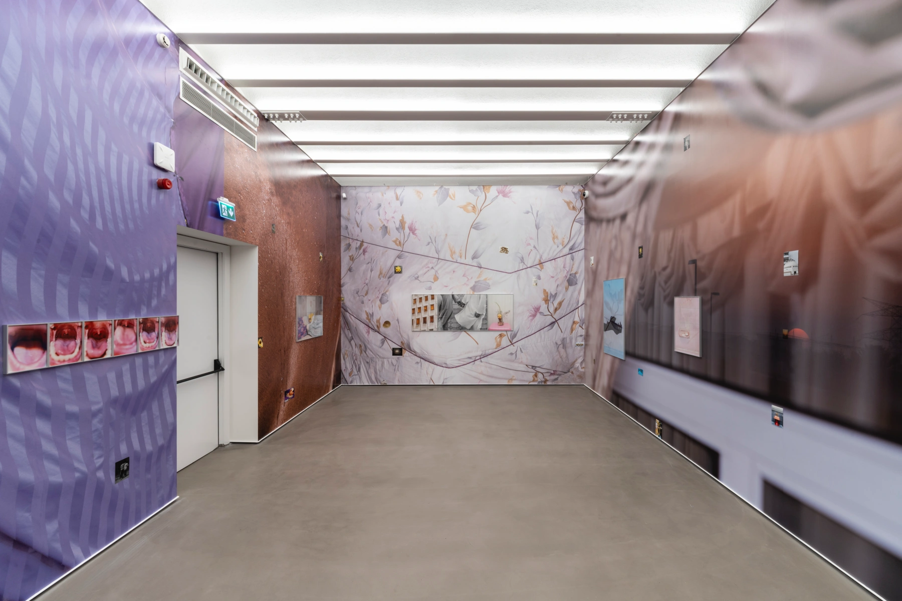 Image for Farah Al Qasimi: Desert Hyacinth, at SANATORIUM