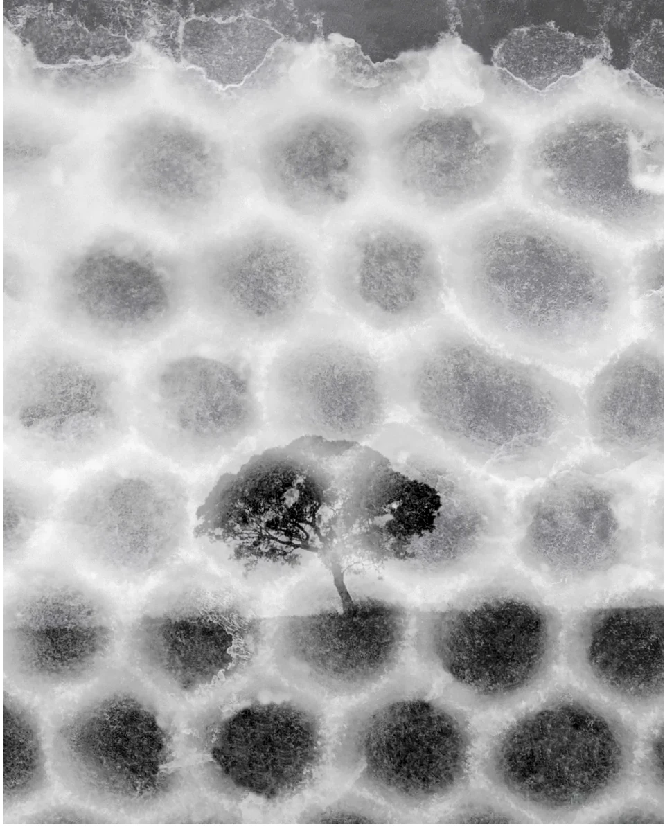 Sammy Hawker, Honeycomb #3, 2023