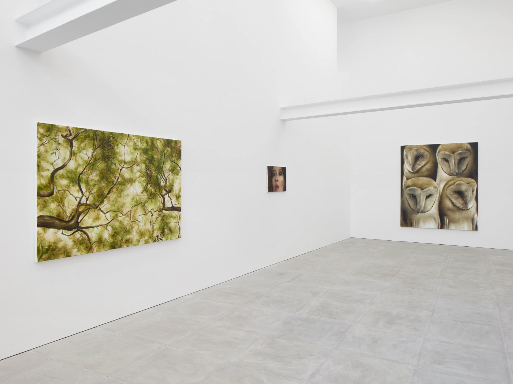 Image for Tomas Harker: Sherwood Forest, at The Sunday Painter