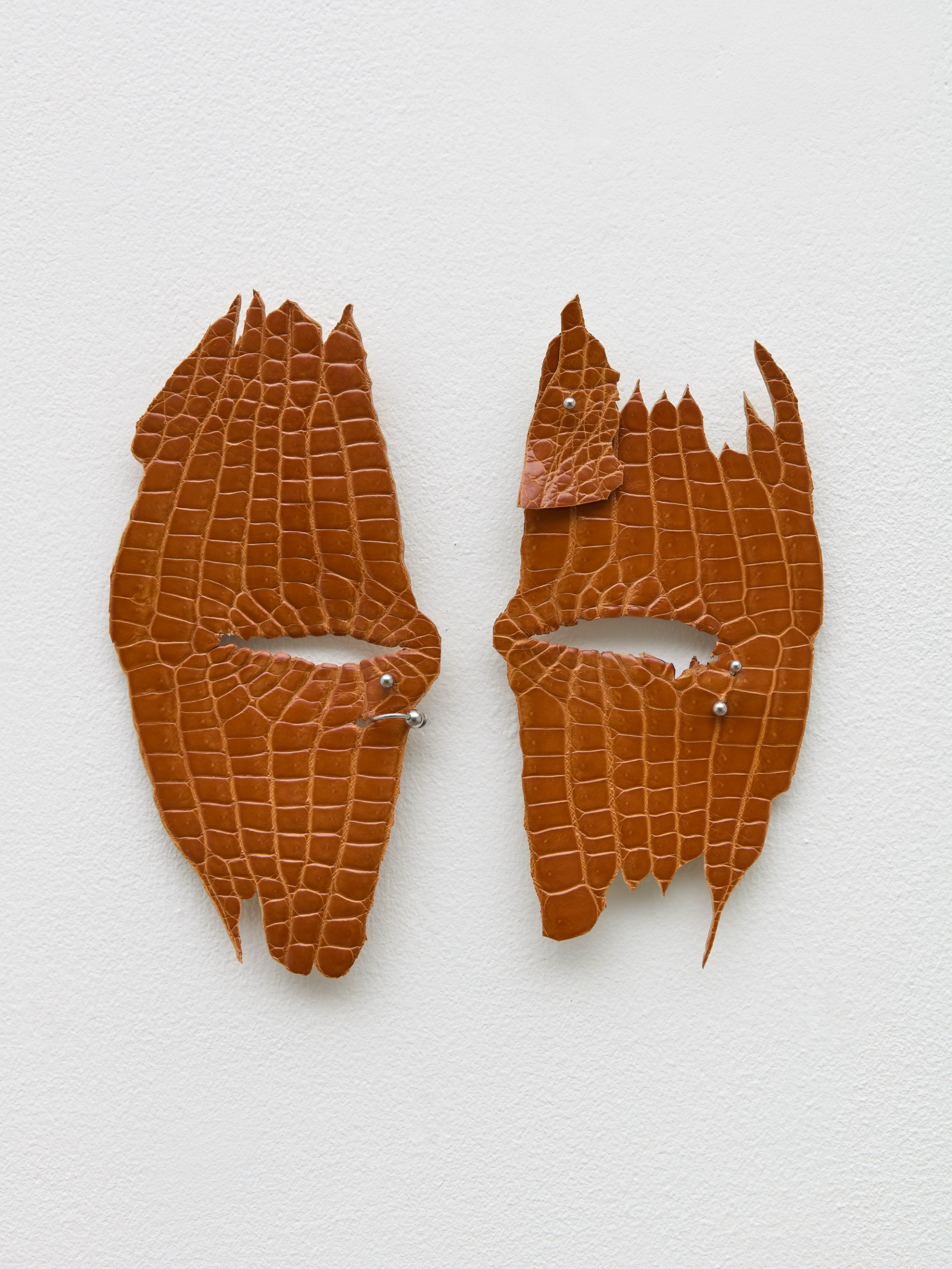 Image for Weixin Quek Chong: moulting pangs, at ai.