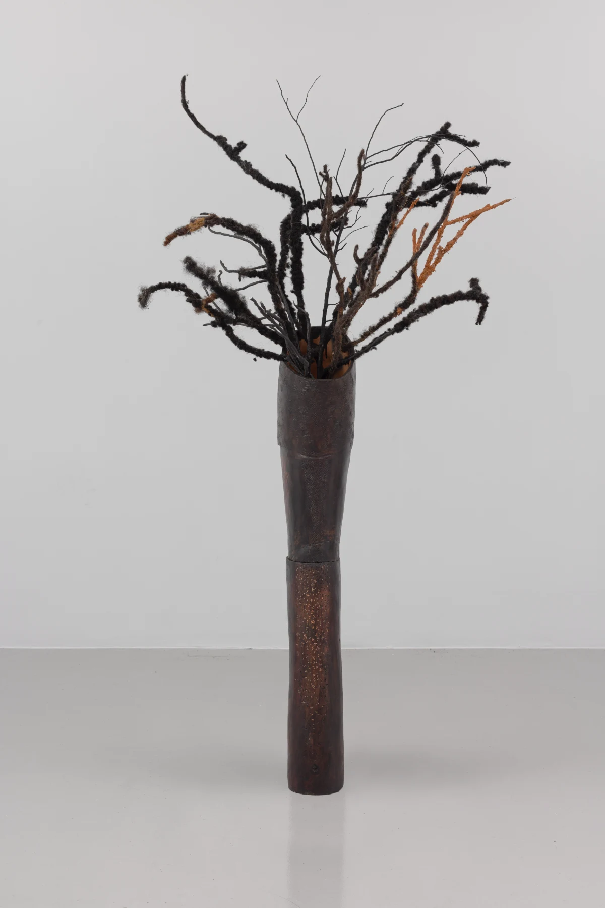 Adebunmi Gbadebo, Witness, 2025