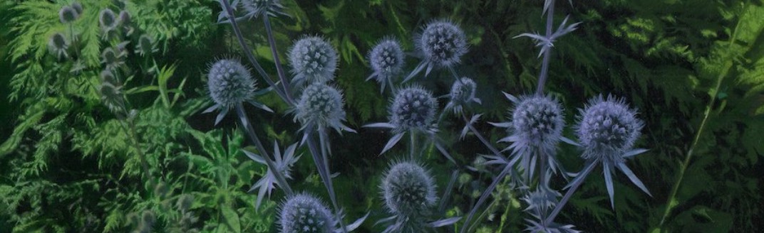 Image banner for 'Follow galleries & artists' membership benefit.