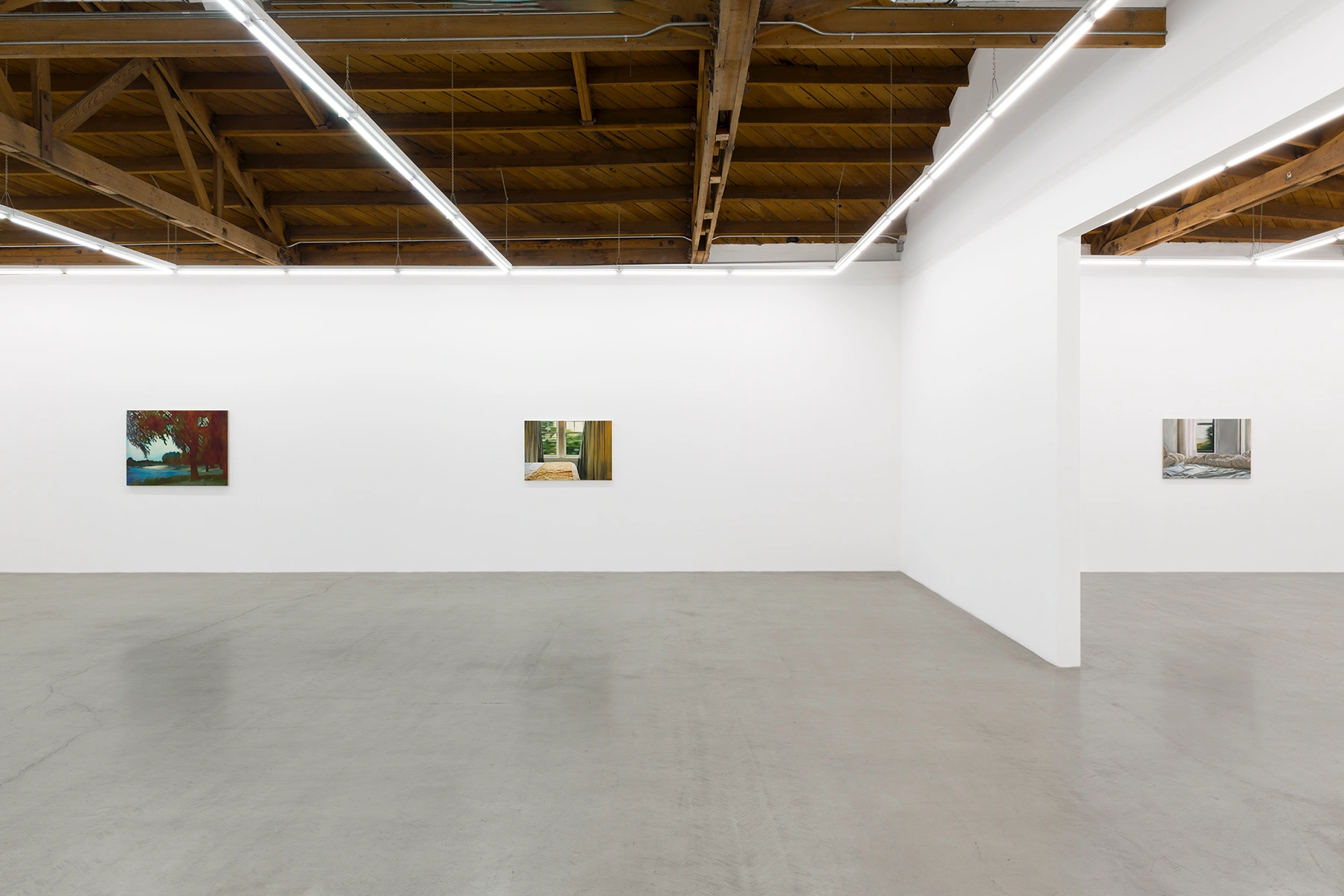 Image for Ben Horns: Another Nature, at parrasch heijnen