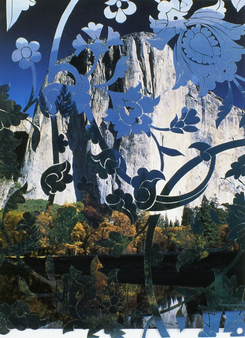 Henna Nadeem, Fence (from the series Between Trees), 1999-2000