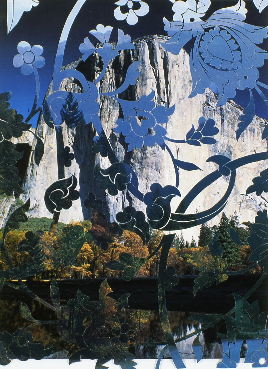 Henna Nadeem, Fence (from the series Between Trees), 1999-2000