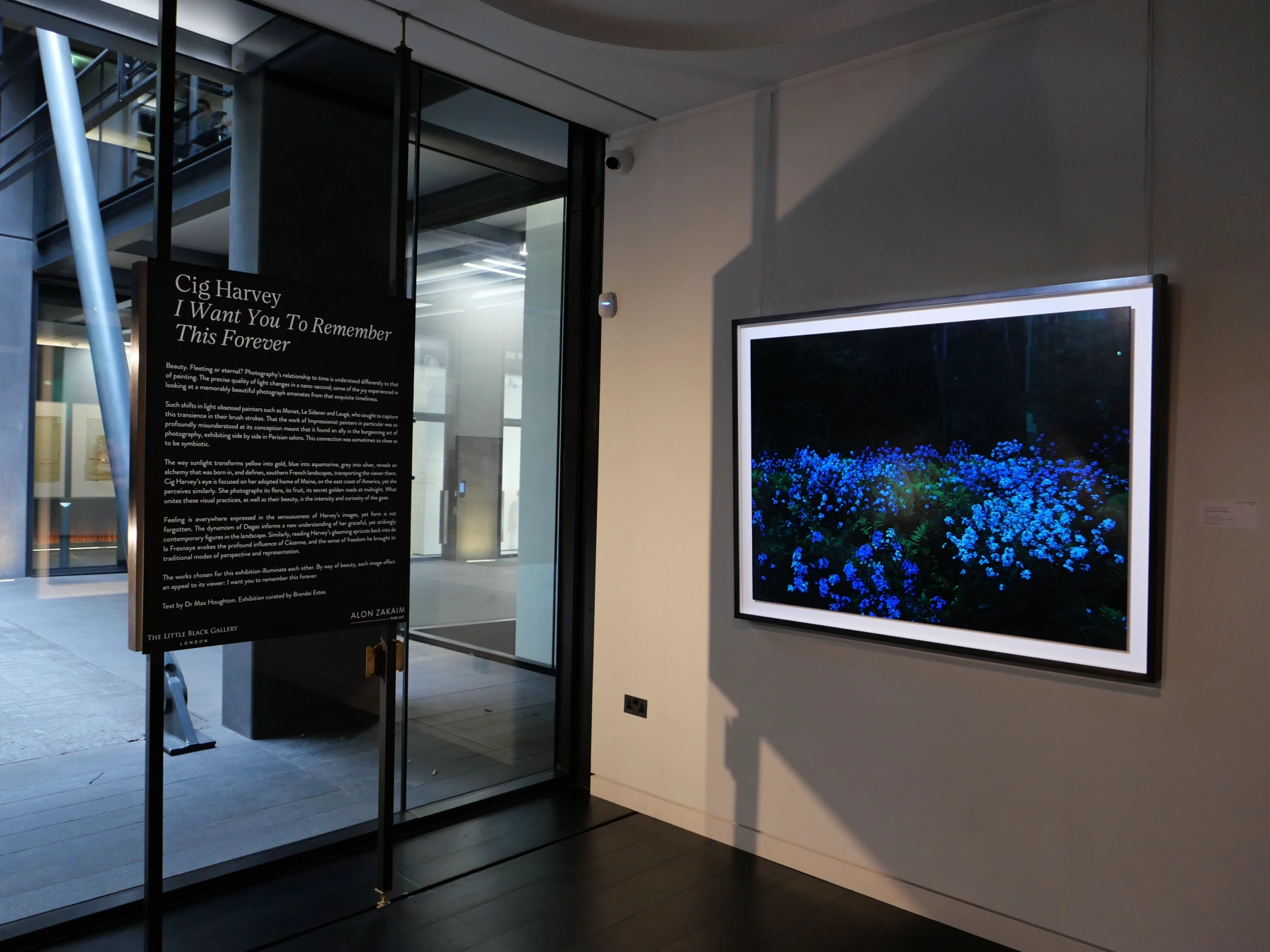 Image for Cig Harvey: I Want You To Remember This Forever, at Alon Zakaim Fine Art