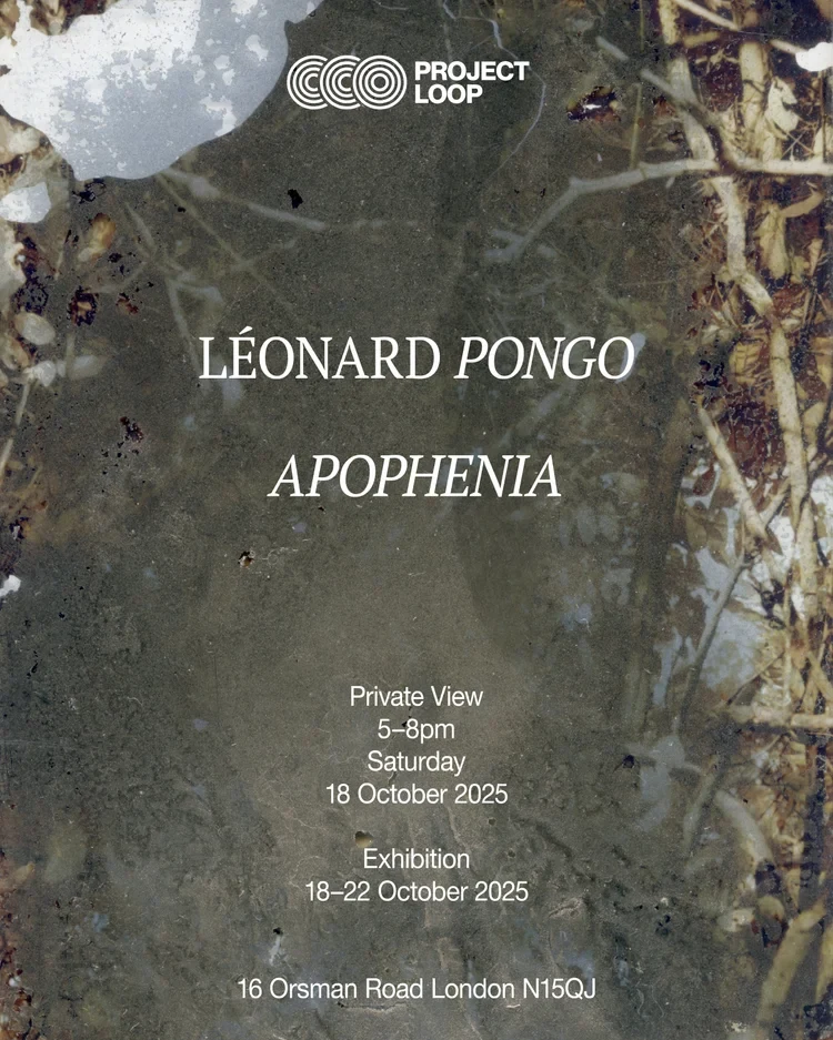 Image for Léonard Pongo: Apophenia, at Project LOOP