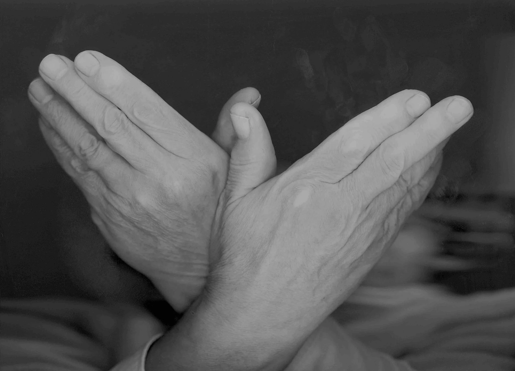 Image for David Ward: Touching Light, at New Art Centre