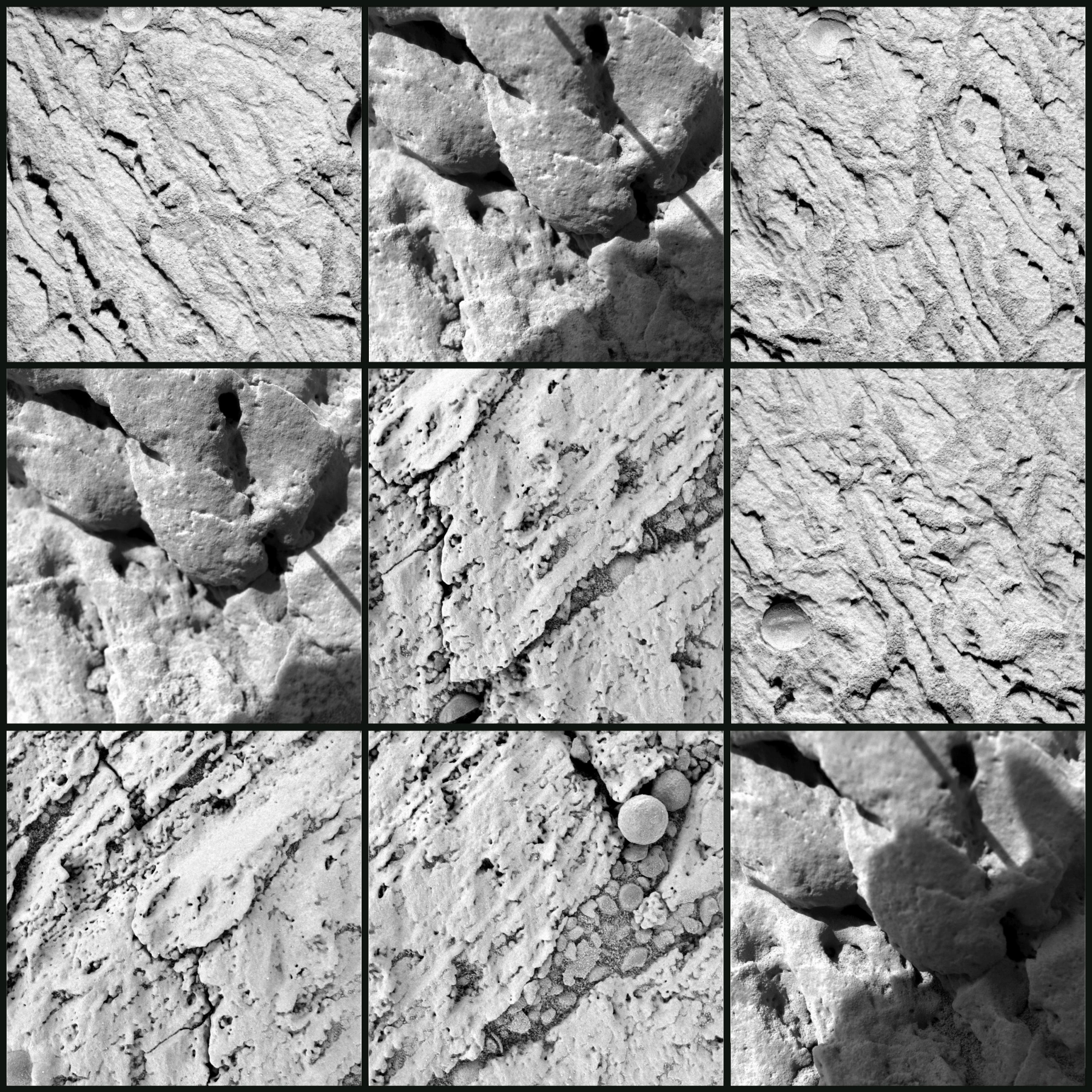 Image for The Whisper of Things, at SANATORIUM