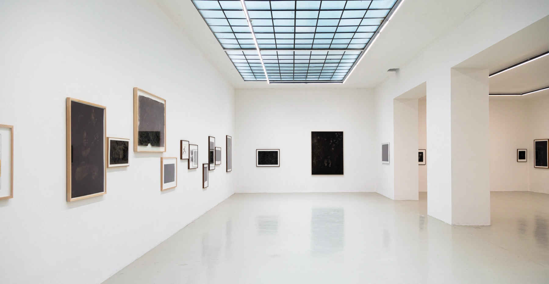 Image for Maximilian Prüfer: Nebenlinien - 15 Jahre Naturantypie, at Galerie Kandlhofer