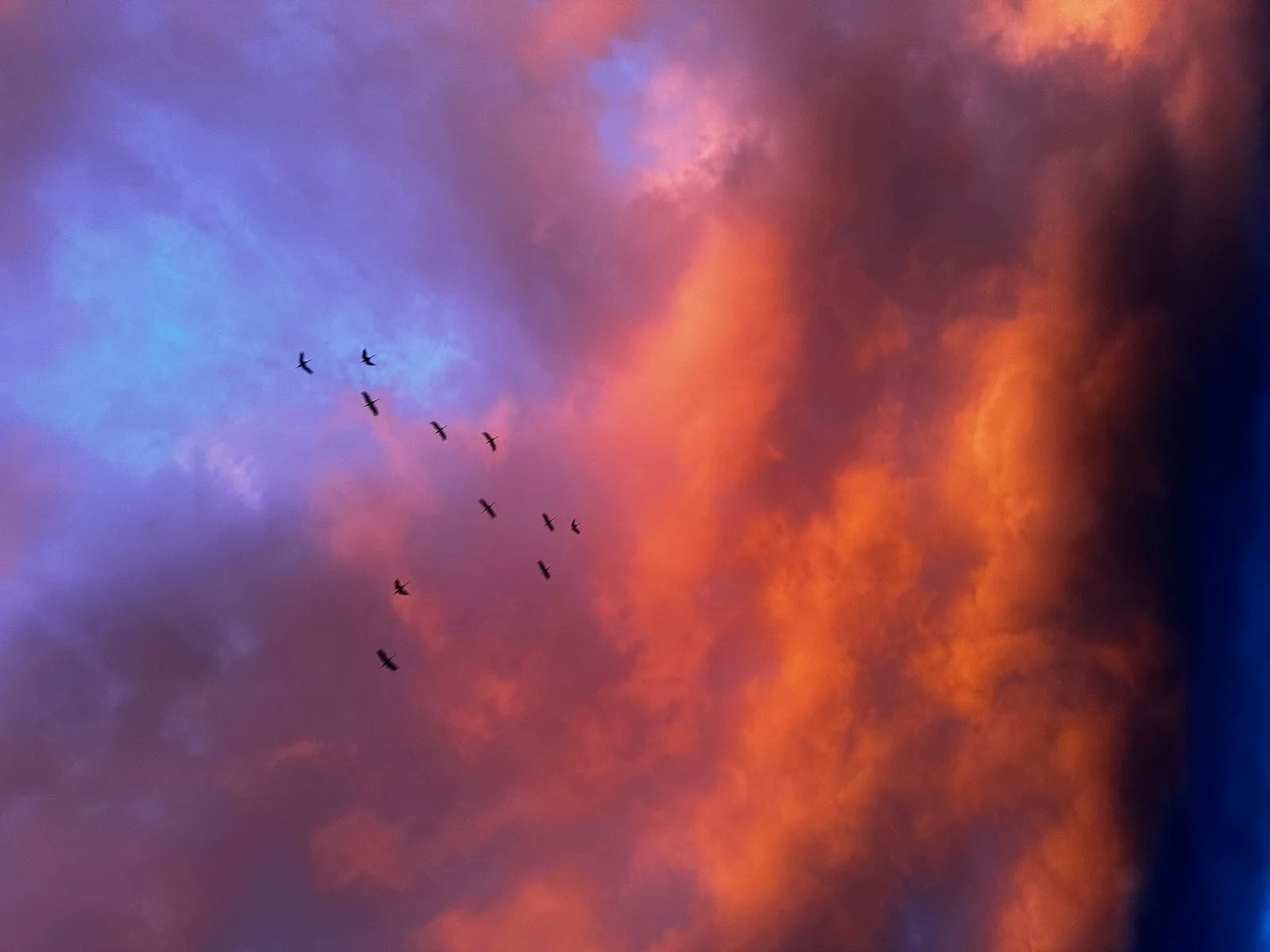 Image for Indien: Hanna Mattes & Eva Mattes, at Belmacz