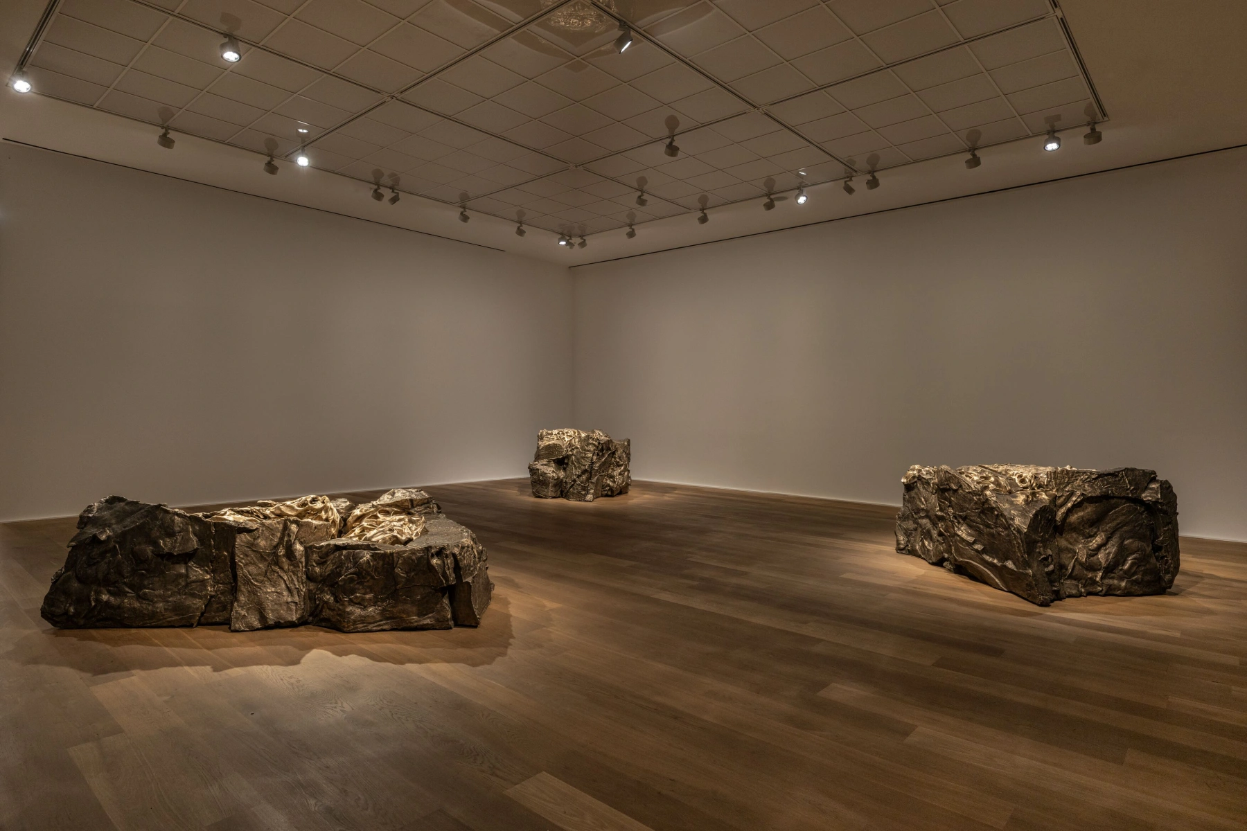 Image for Cristina Iglesias. The Shore, at Hauser & Wirth