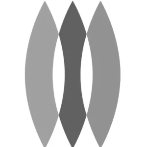 Logo for Iziko South African National Gallery