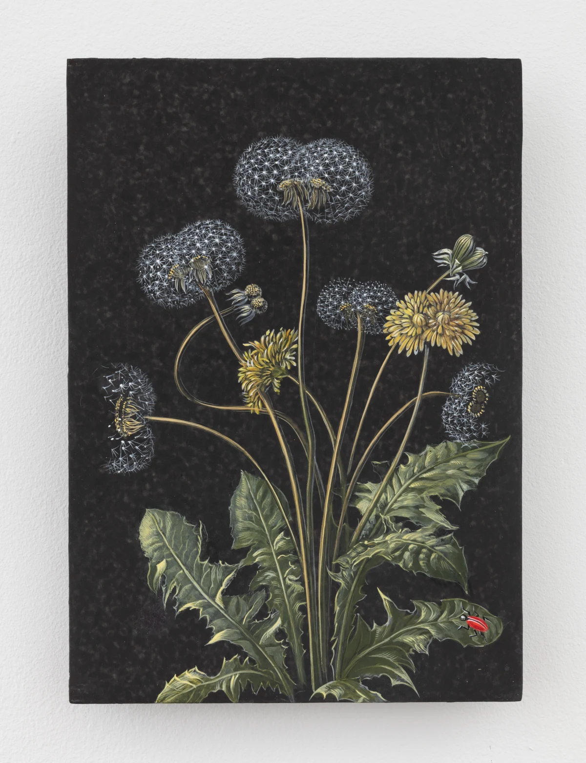 Laurent Grasso, Future Herbarium, 2023