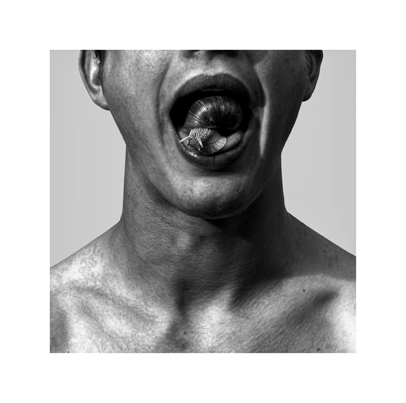 Image for Maximilian Prüfer: Nebenlinien, at Galerie Kandlhofer
