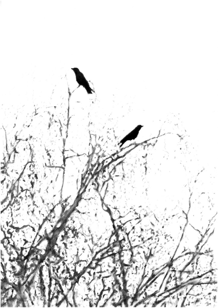 Luo Mingjun, Perched in the Heights II, 2025