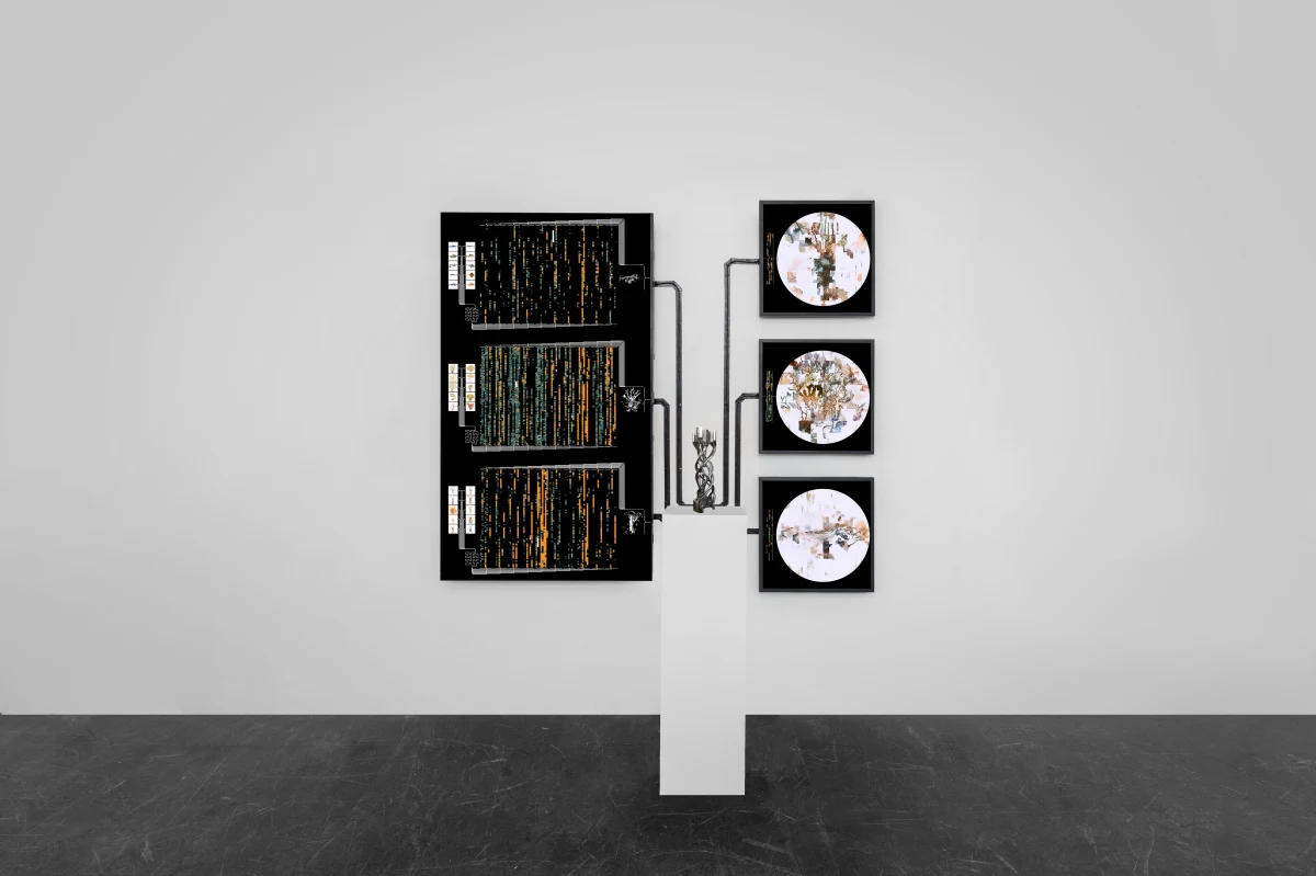 Entangled Others, self-contained 009.4, 2024