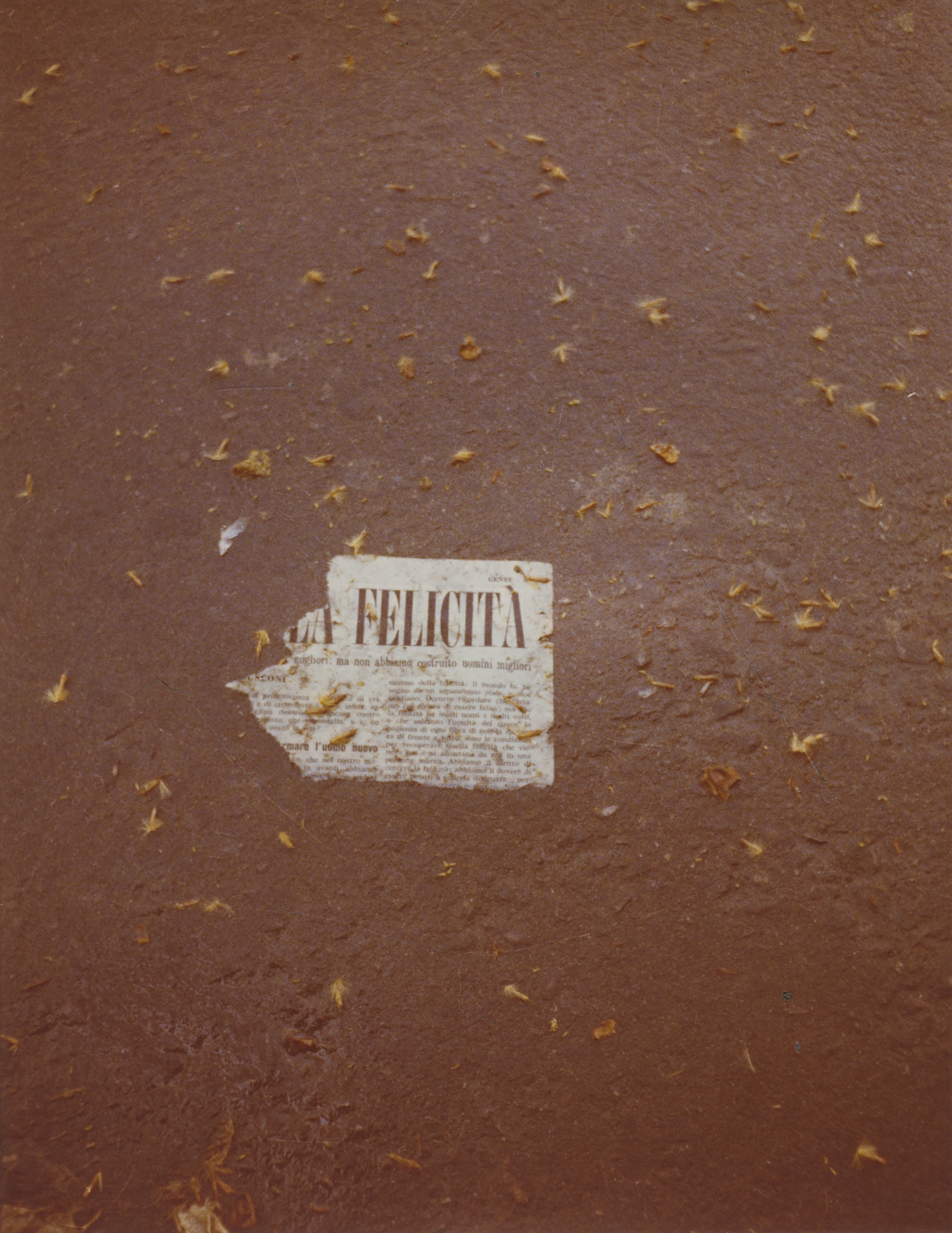 Image for Luigi Ghirri: Felicità, at Thomas Dane Gallery