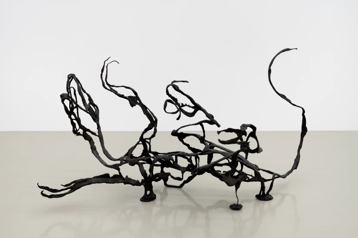 Raphaela Vogel, #03. Trias-Tanz (Tailwiggle), 2025