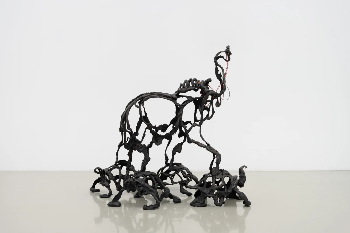 Raphaela Vogel, #05. Kleingeschaidt, 2025