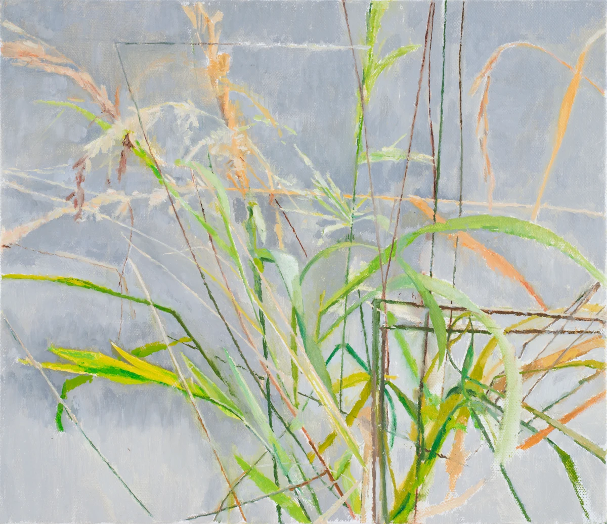 Charlotte Verity, Over, 2023