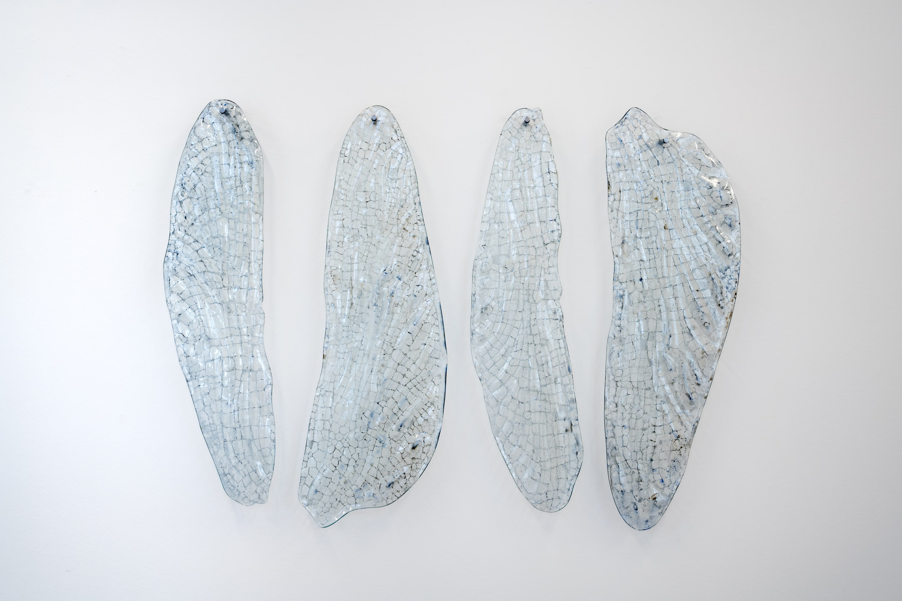 Image for Toward Reception. Five years of presence & exchange, at Lechbinska Gallery