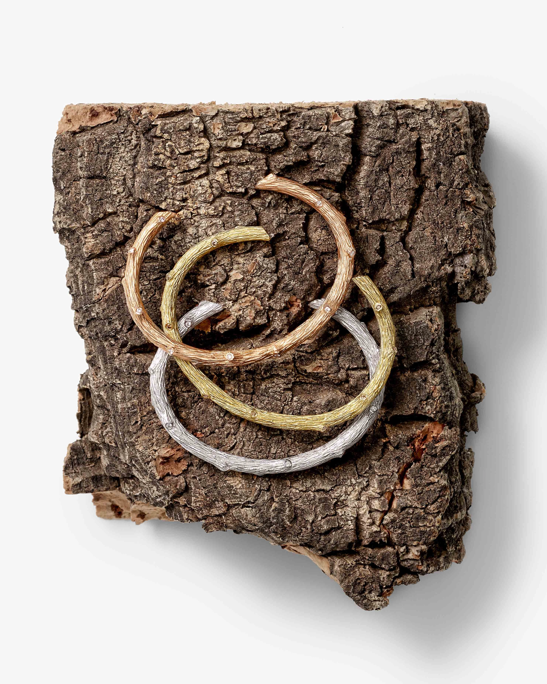 Image for New Nature, at David Gill