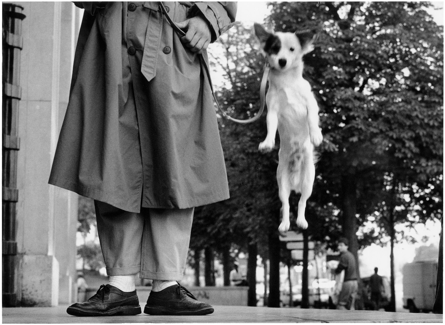 Elliott Erwitt, Dog Jumping, Paris, France, 1989