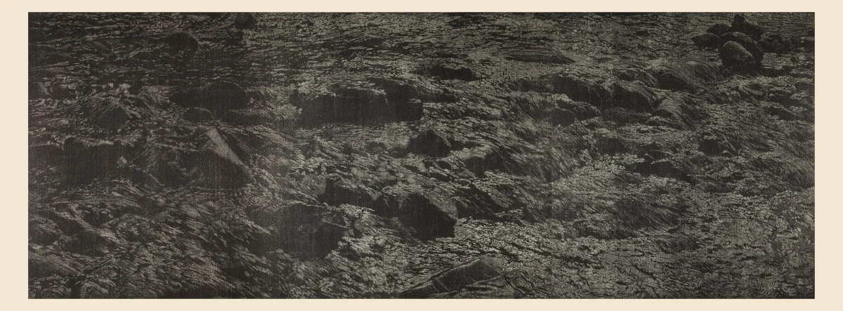Franz Gertsch, Schwarzwasser II, 1993-1994