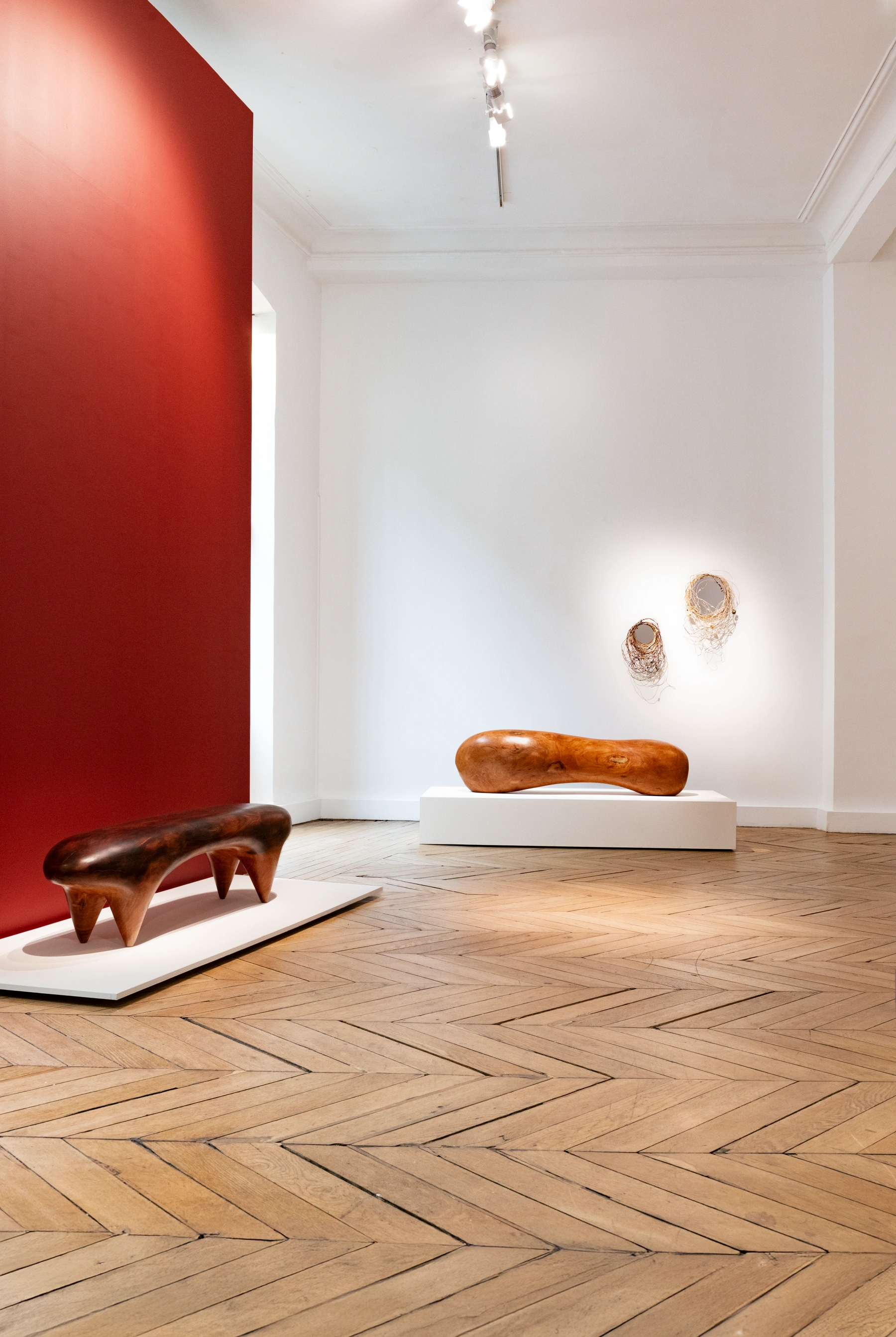 Image for Estelle Yomeda: Animal Vegetal, at Galerie Maria Wettergren