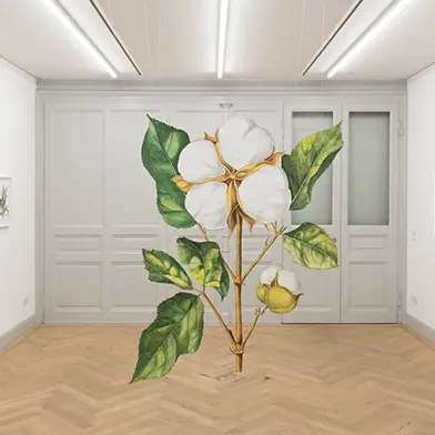Image from Ishita Chakraborty: I Recall The Forest Inside Me, at Galerie Peter Kilchmann, Rämistrasse