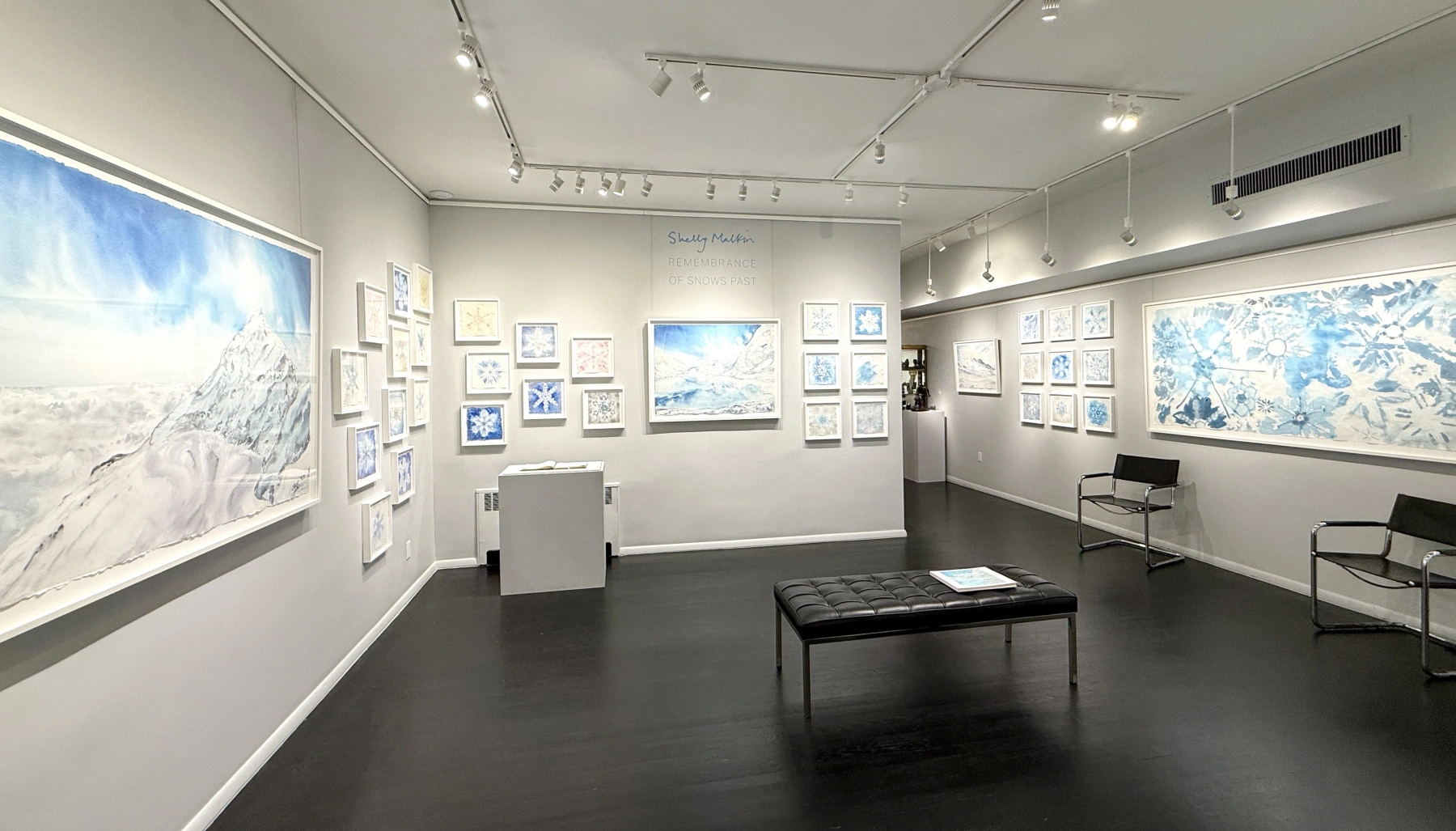 Image for Shelly Malkin: Remembrance of Snows Past, at Graham Shay 1857