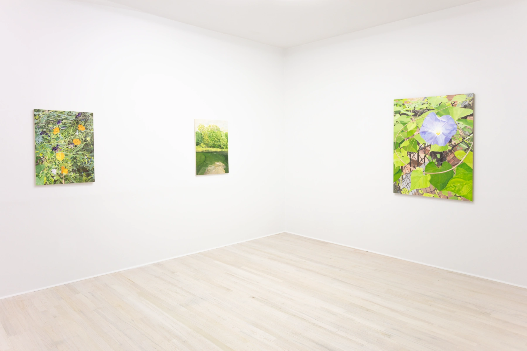 Image for Alexander Russi: Confluence, at Halsey McKay Gallery