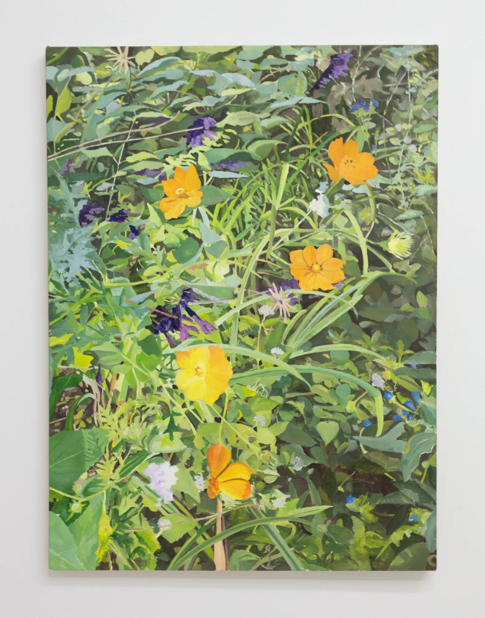 Alexander Russi, Cosmos, 2025