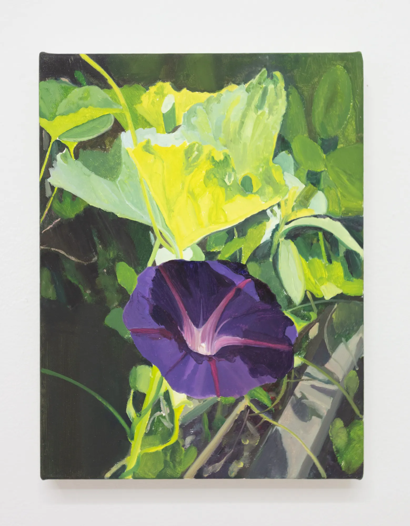 Alexander Russi, Morning Glory, 2024