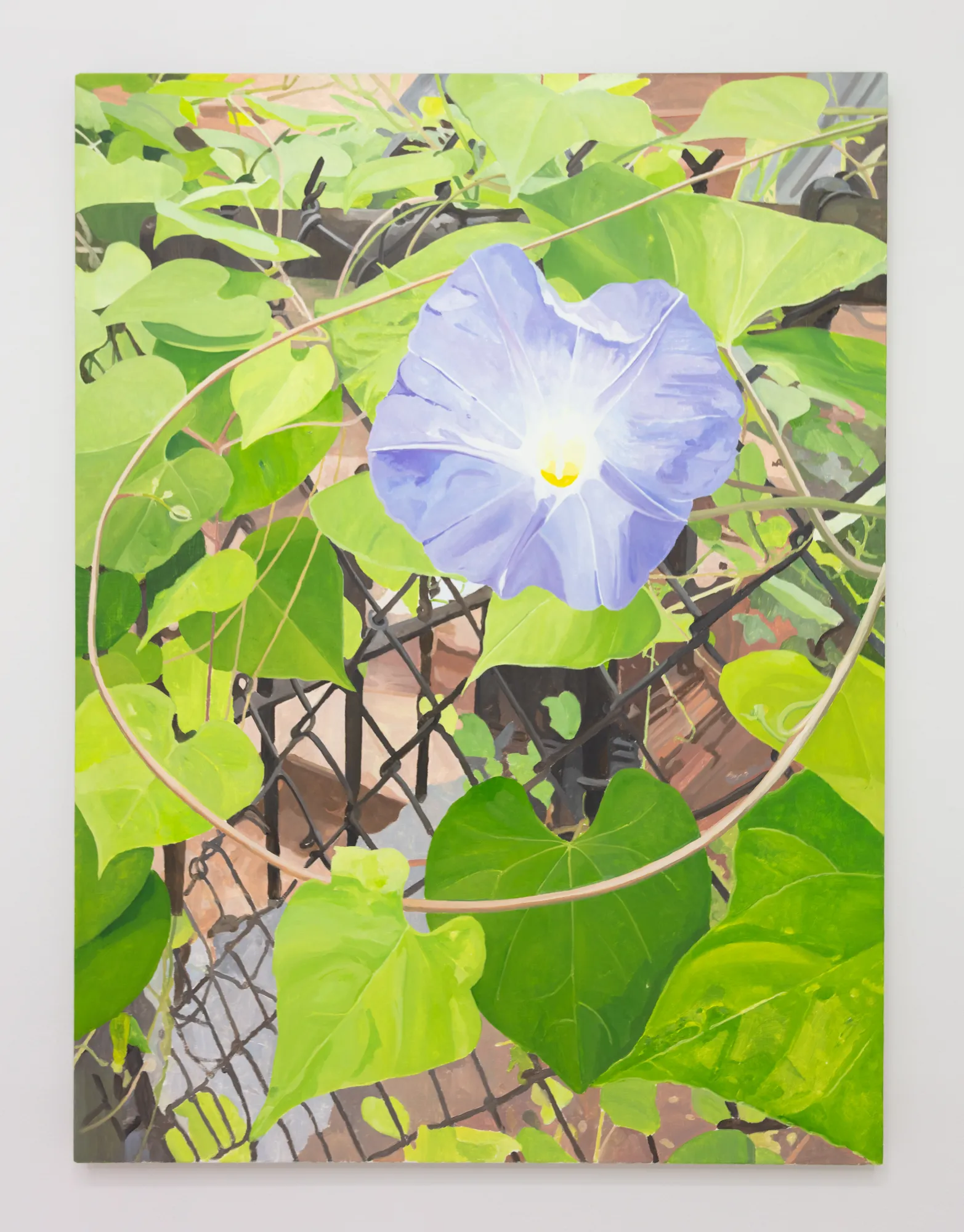 Alexander Russi, Morning Glory, 2025