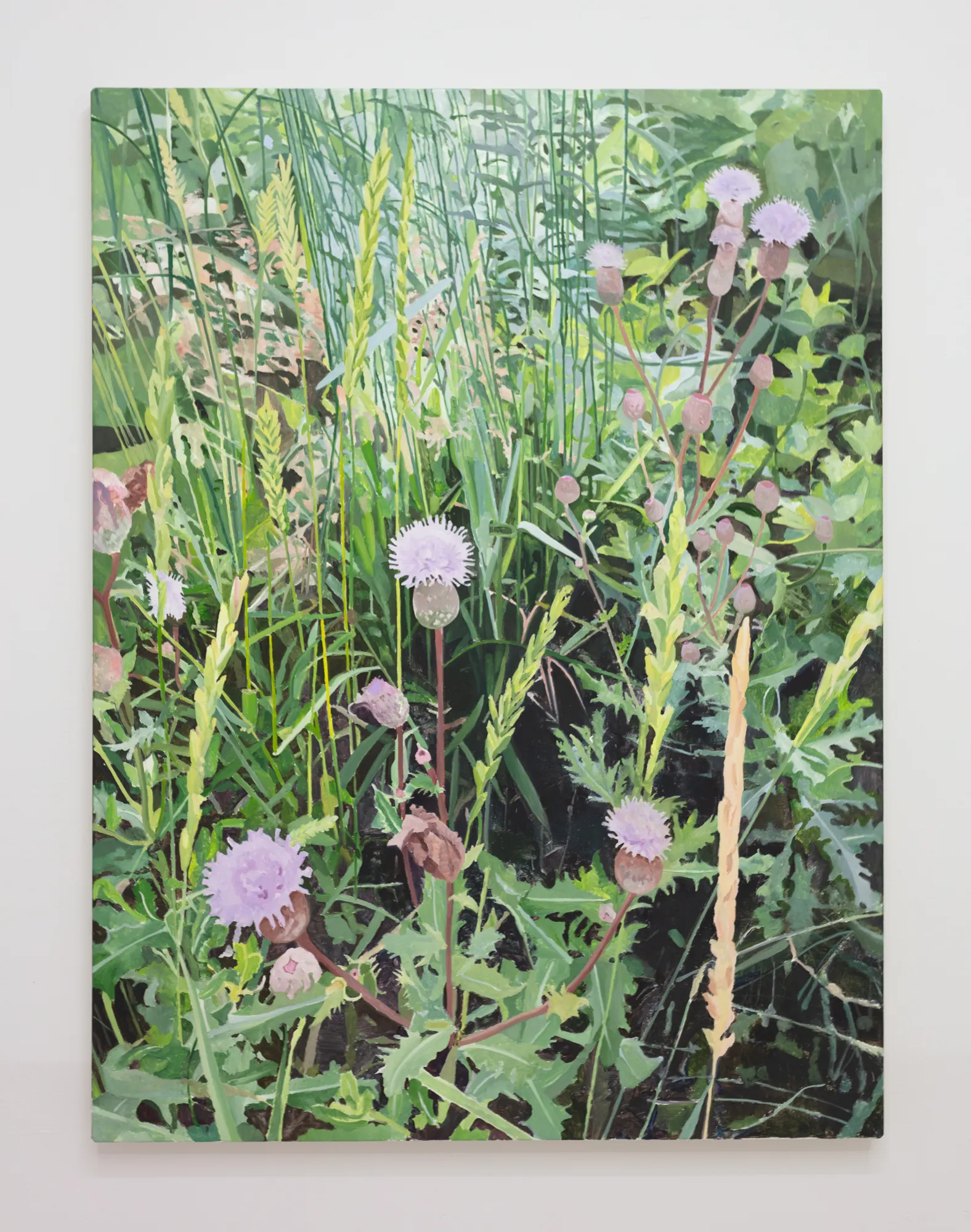 Alexander Russi, Thistle, 2025