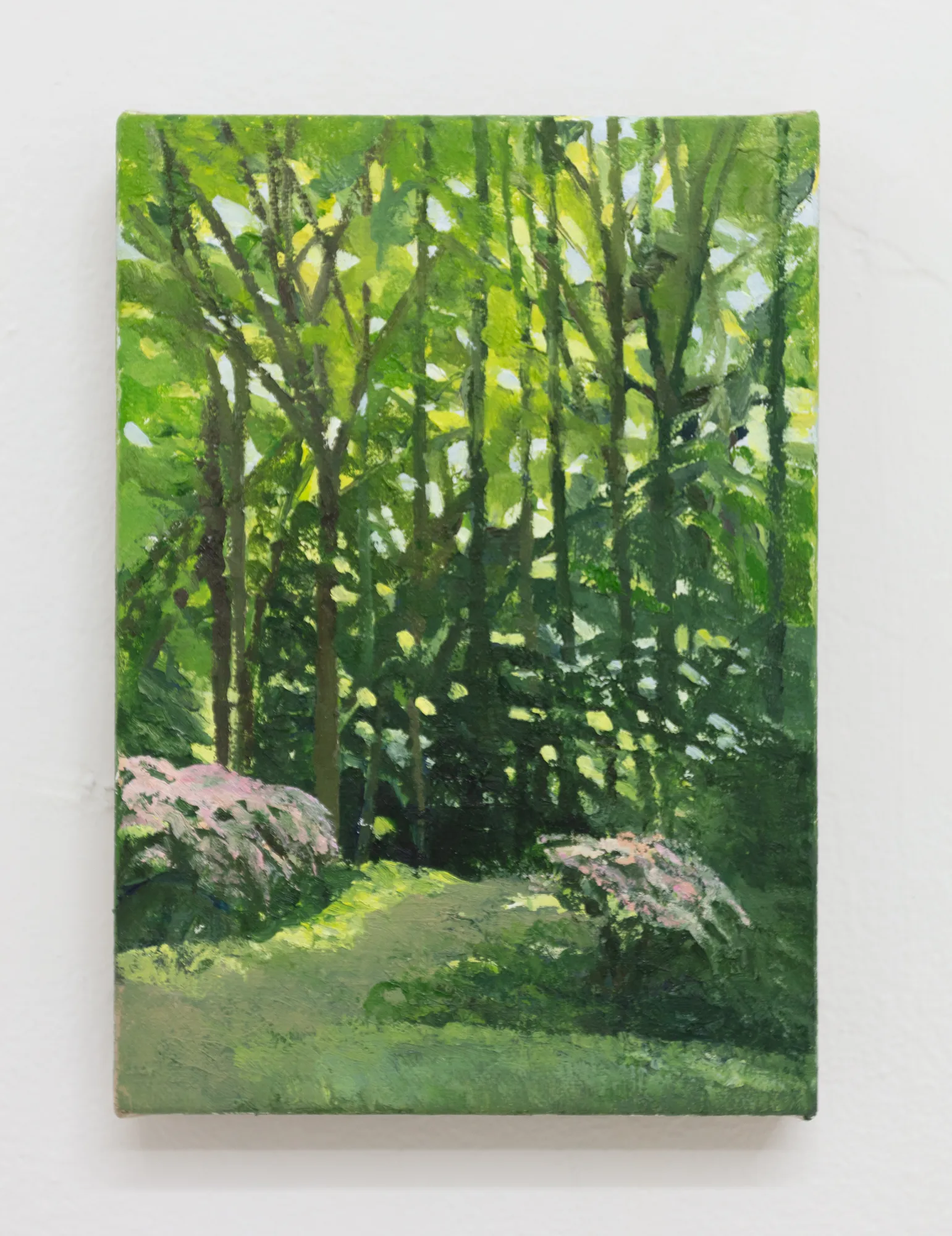 Alexander Russi, Woods Path, 2025