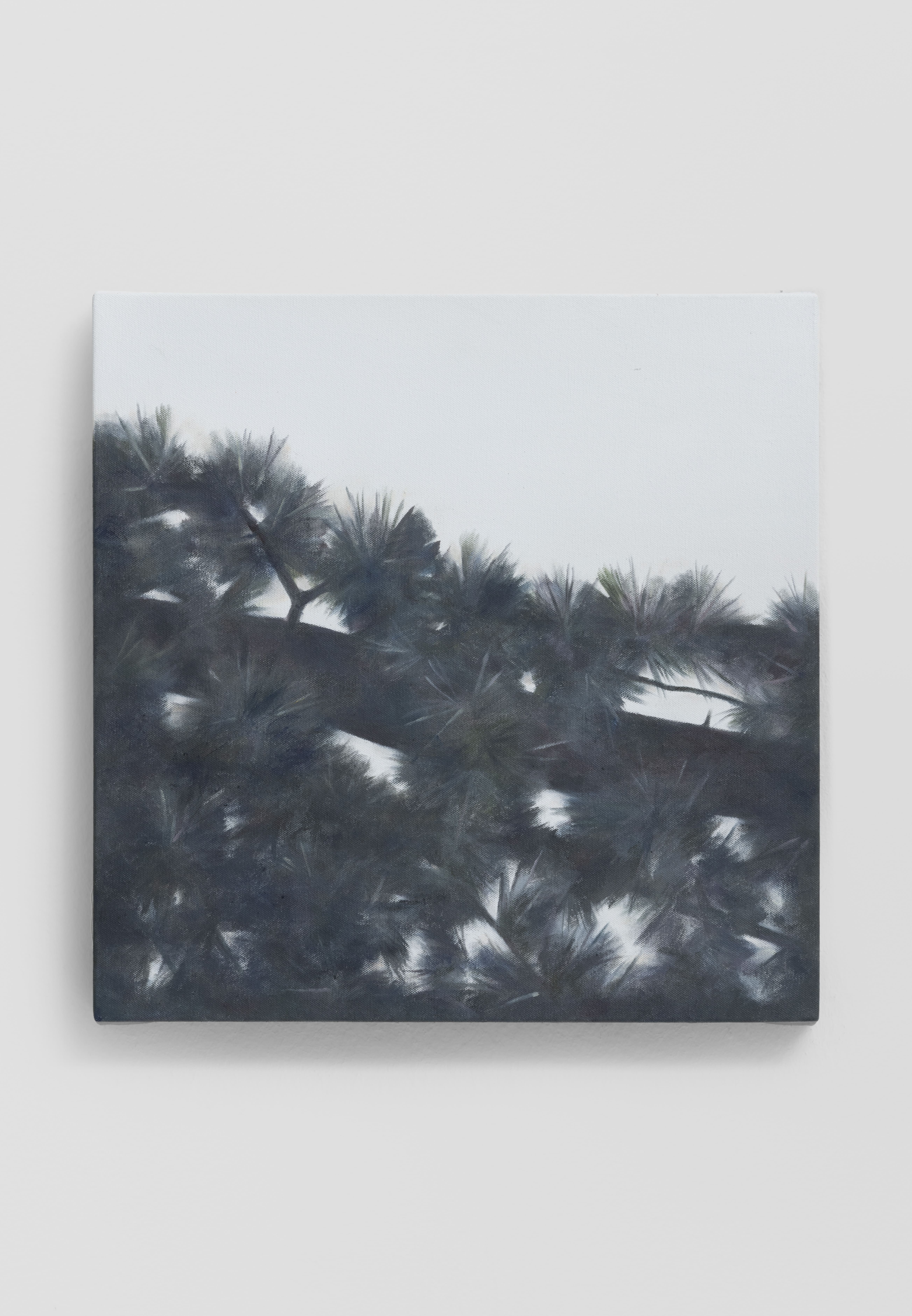 Angela Lyn, in the woods, 2025