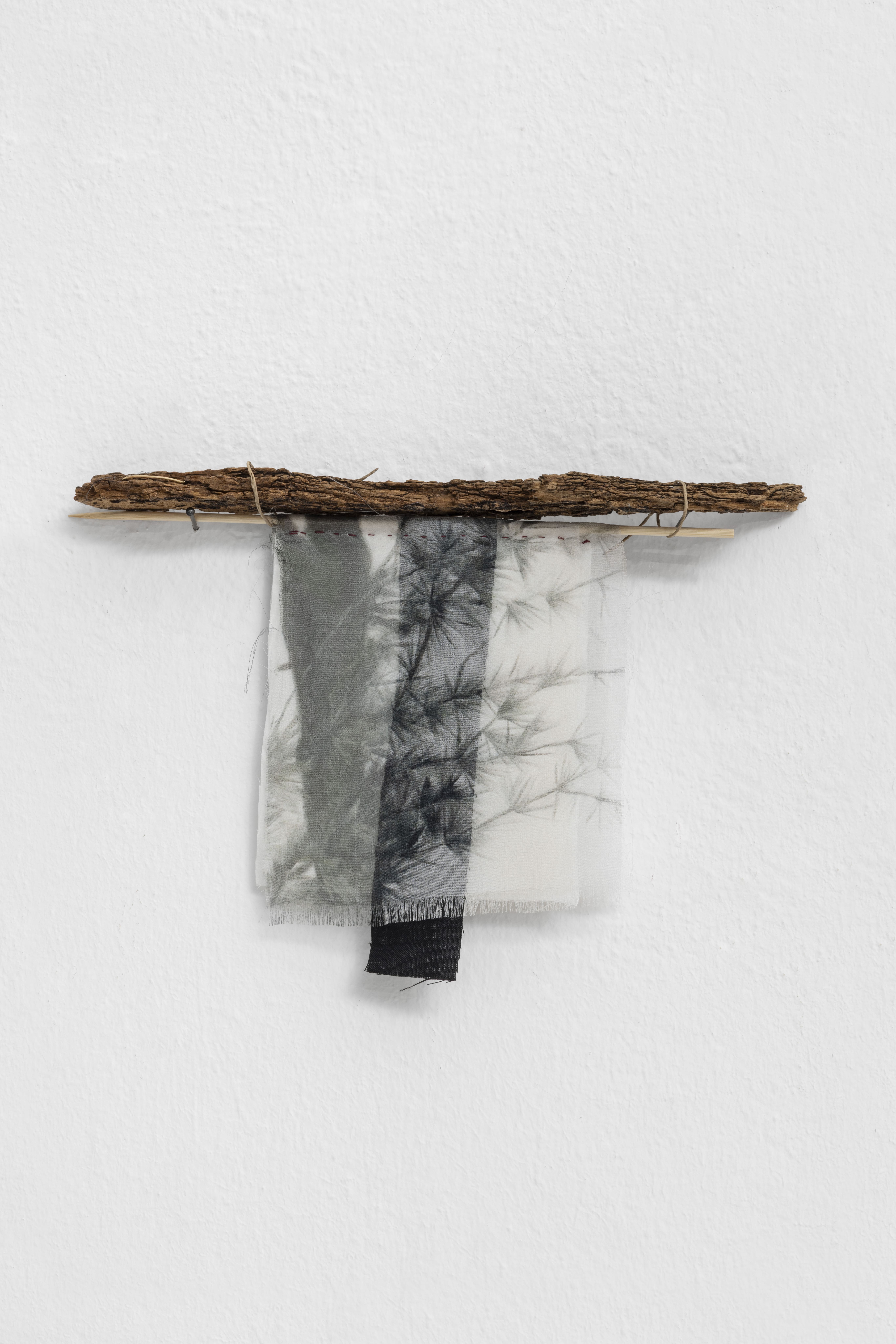 Angela Lyn, handbook VII, 2025