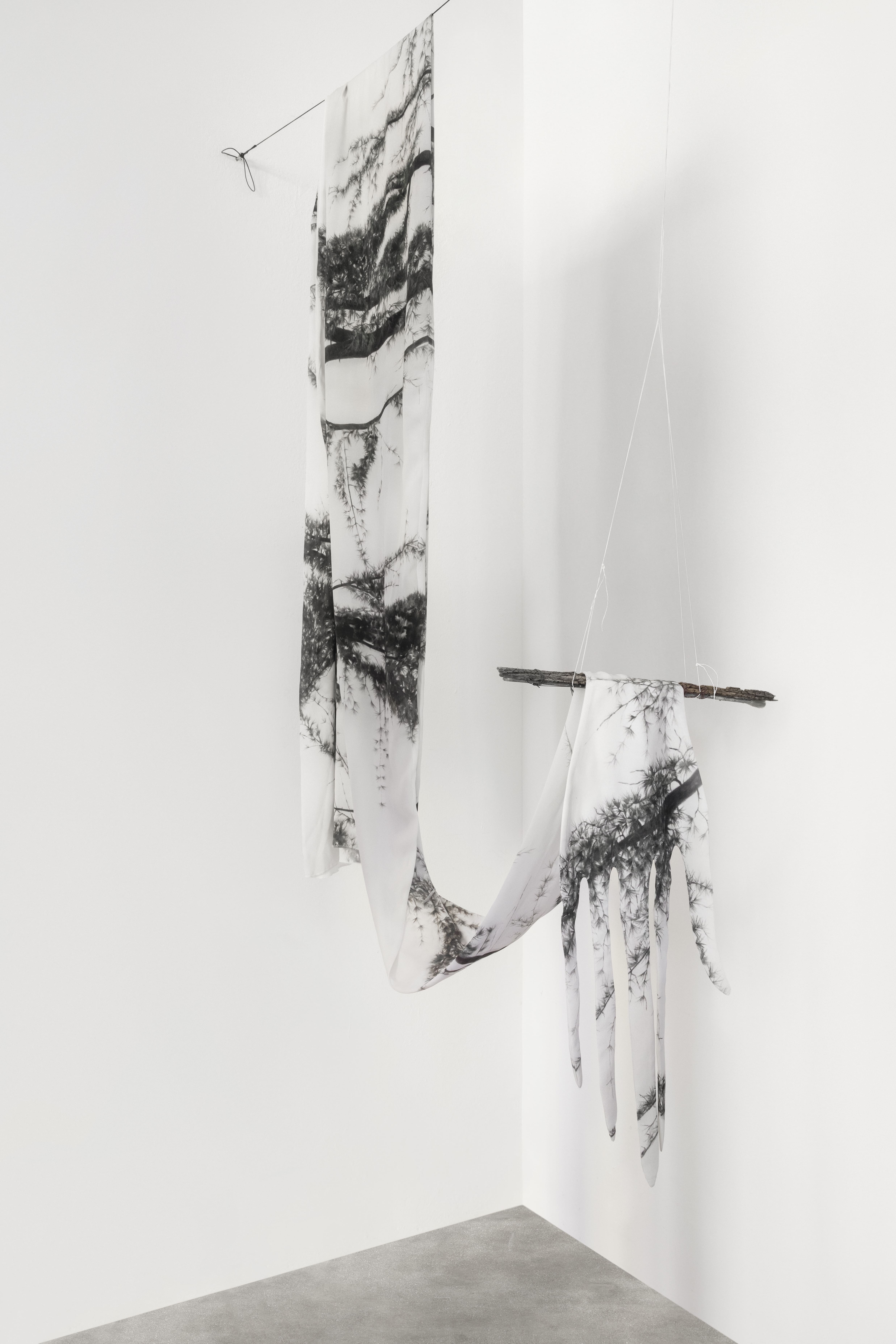 Angela Lyn, lifeline, 2025