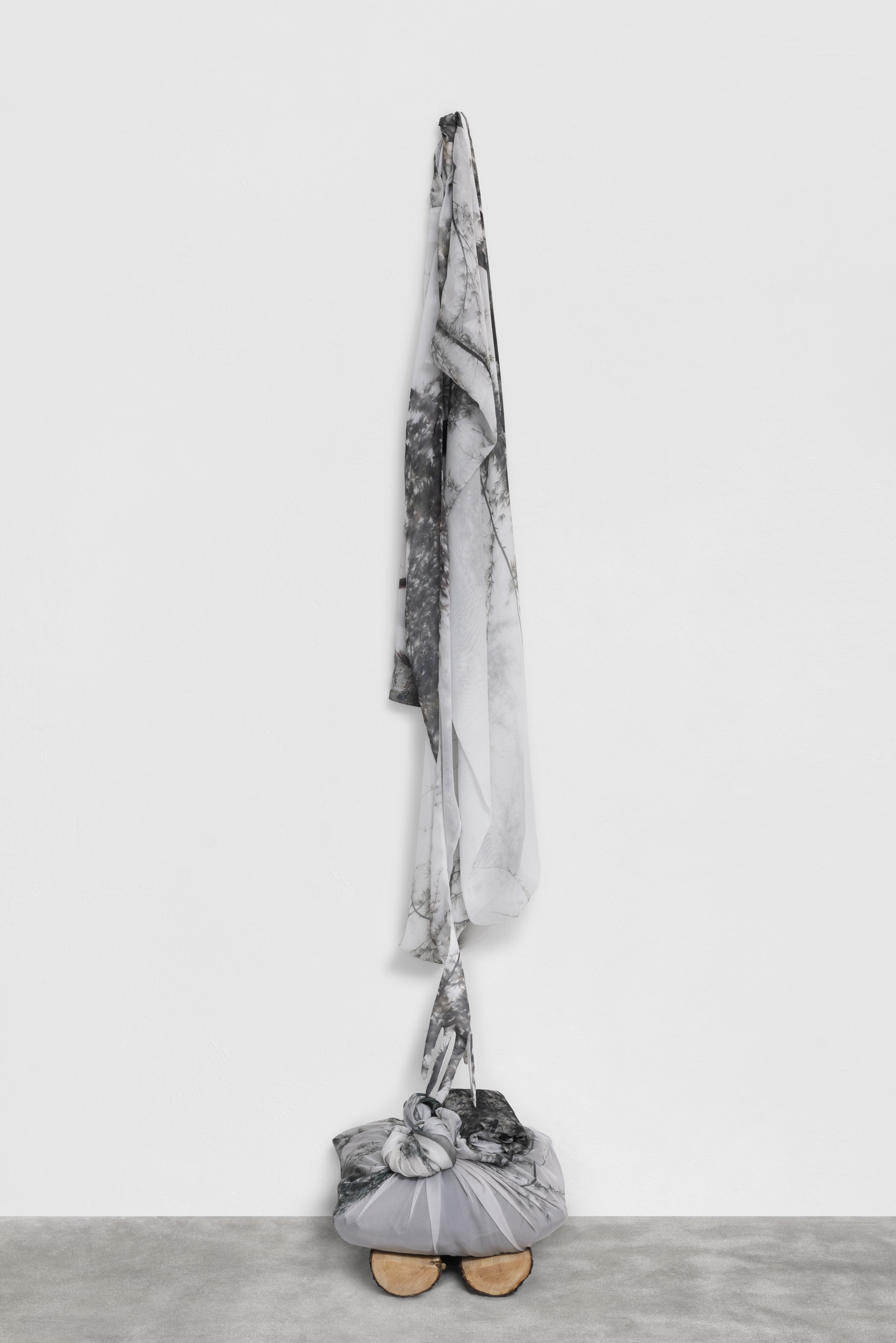 Angela Lyn, wanderer, 2025