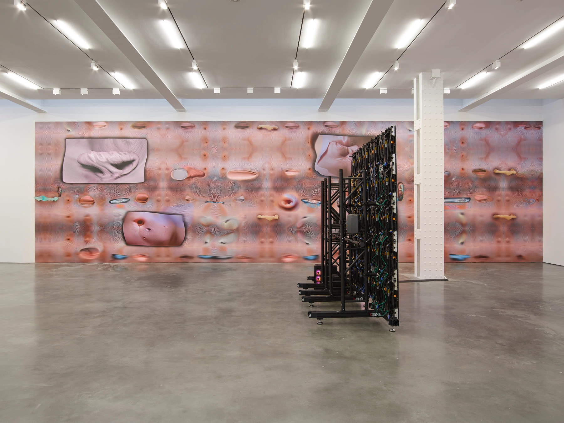 Image for Tishan Hsu: emergence, at Lisson Gallery