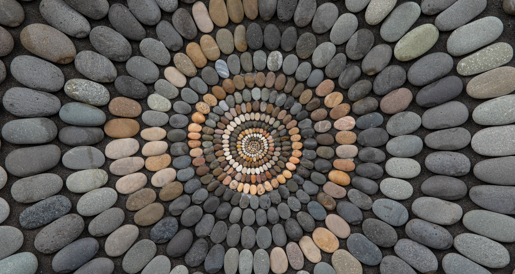 Image for Mary Bauermeister: St.one-d, at Michael Rosenfeld Gallery