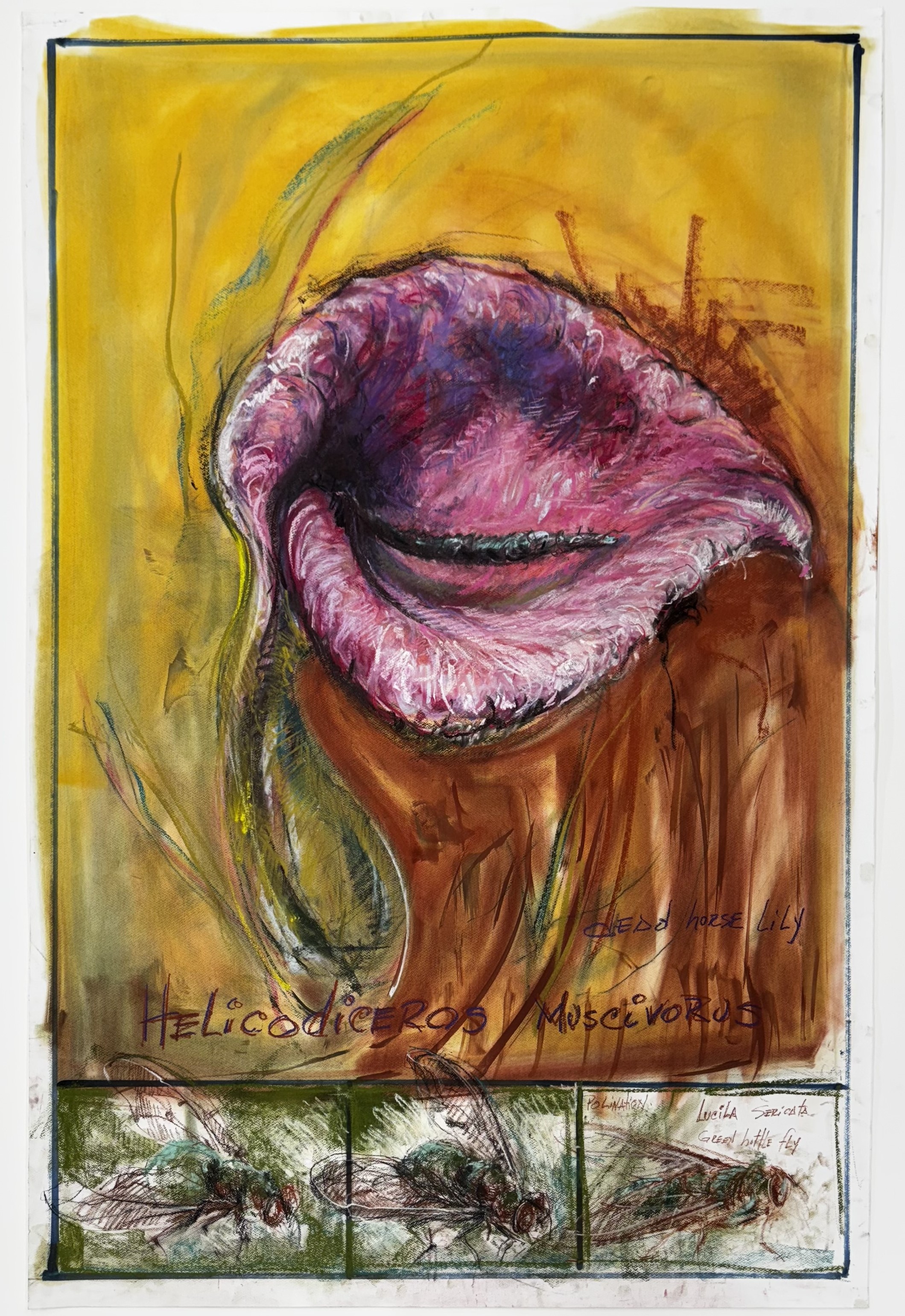 Image for Oswaldo Maciá: Migratory Movements, at Elizabeth Xi Bauer, Exmouth Market