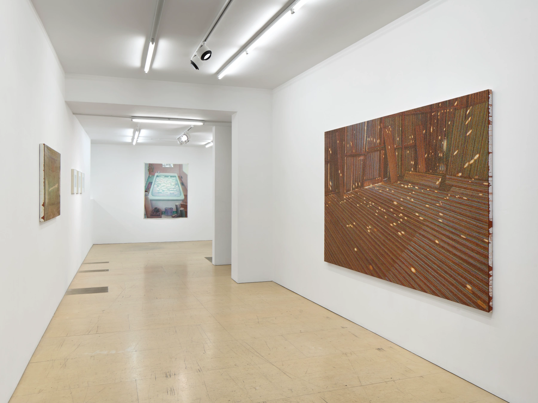 Image for The flesh of space, at The Sunday Painter