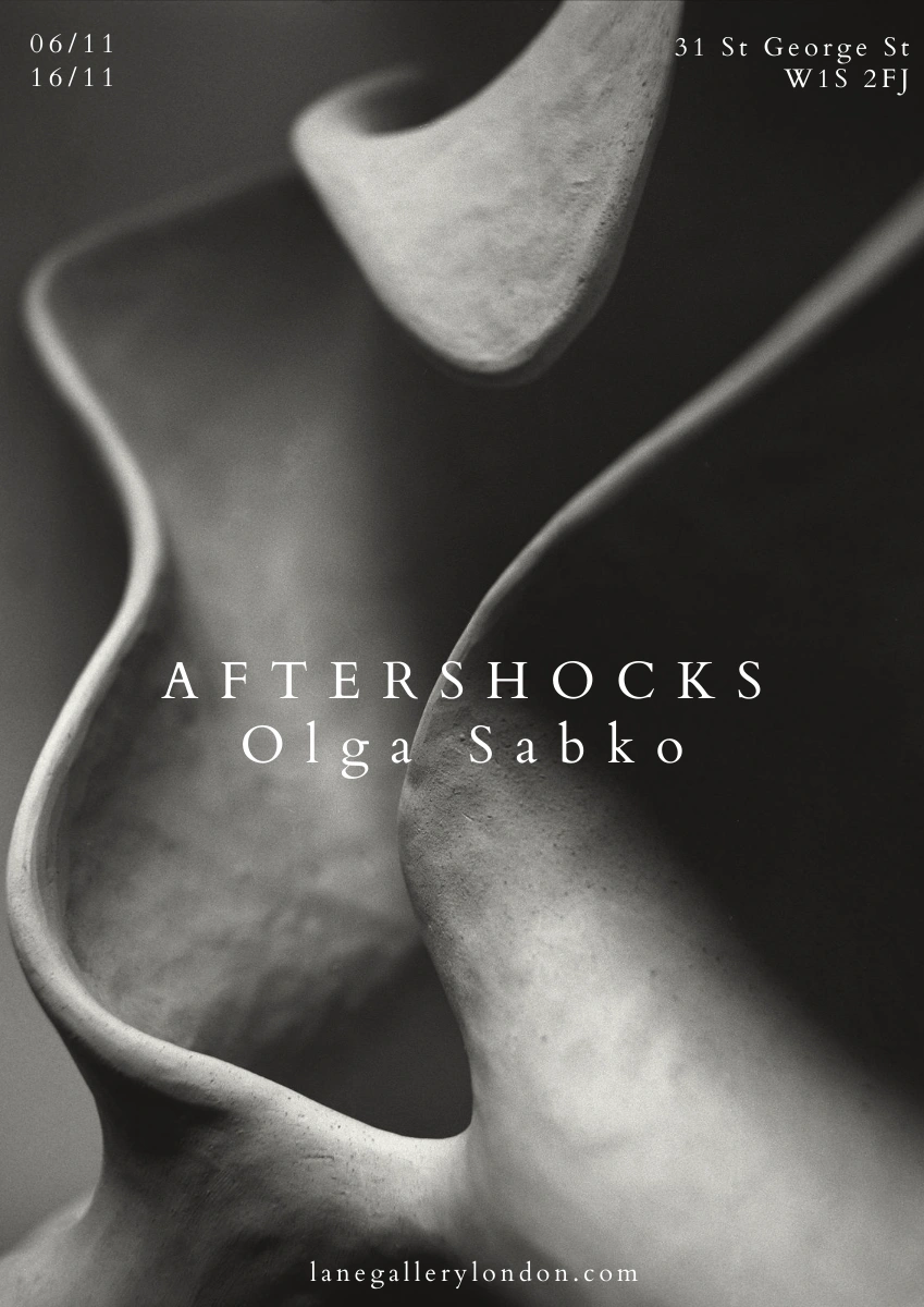 Image for Olga Sabko: Aftershocks, at Lane Gallery