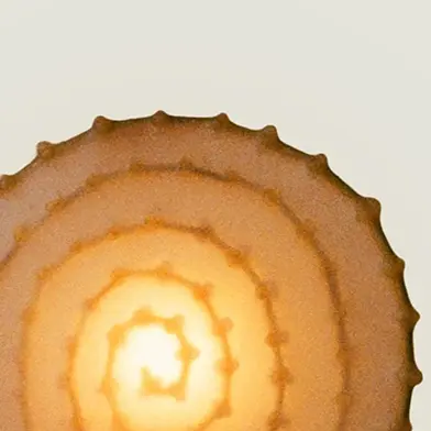 Exhibition image from the latest newsletter